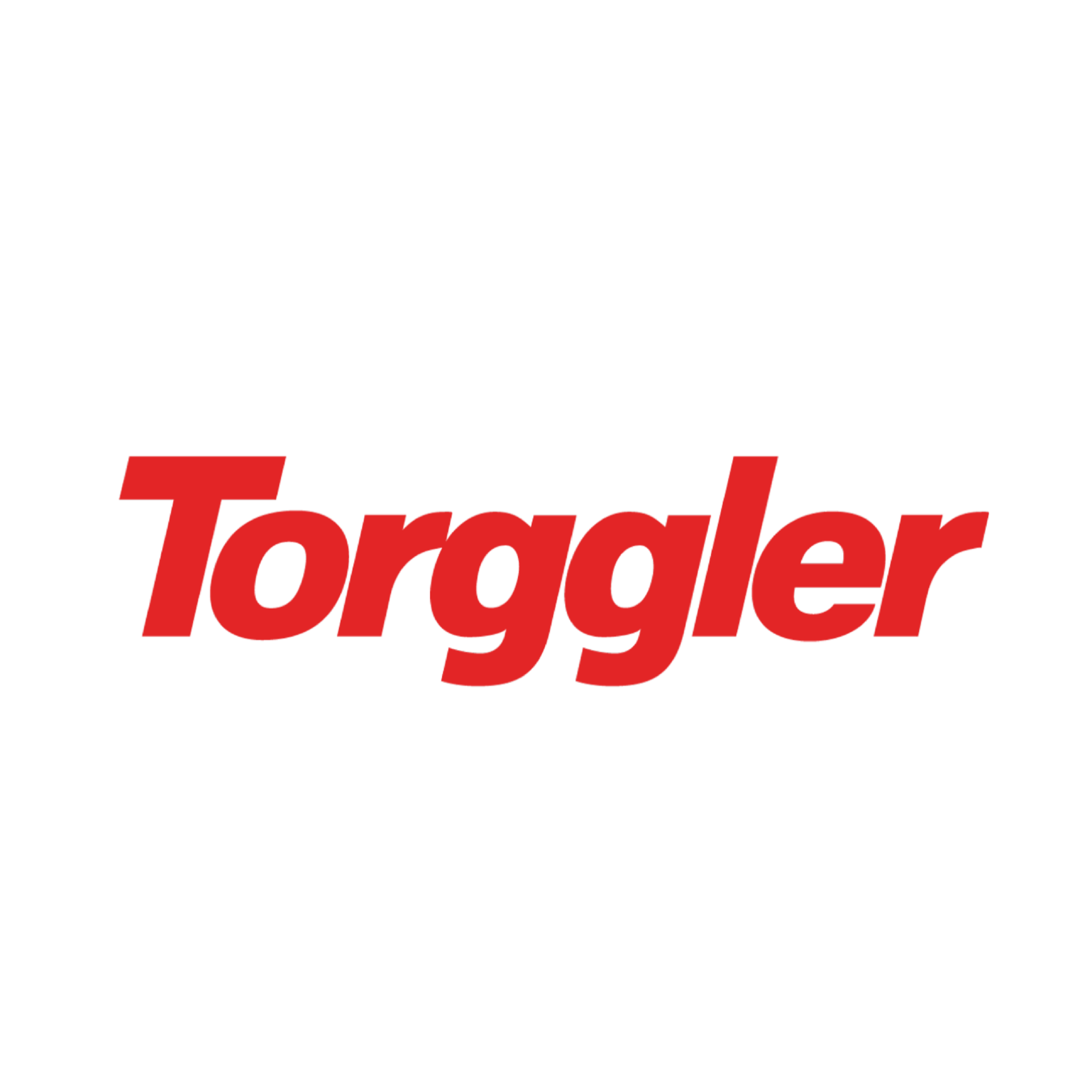 www.torggler.com